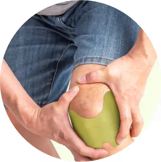 Contoured herbal patch worn over a knee